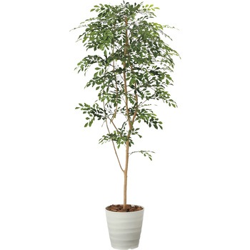 人工樹木 - ニシキ工業