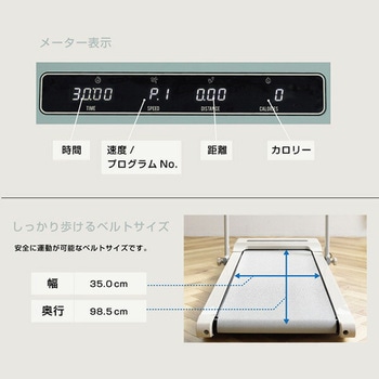 フラットウォーク 腕時計型コントローラー付 アルインコ