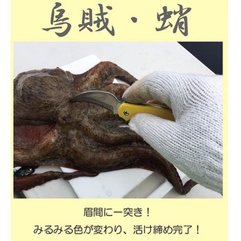 サビナイフ9 シャークレイ oxtos
