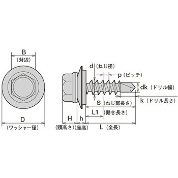 SCH690H ステンレス キャップ付ジャックポイント ヘックス 半ネジ 1箱