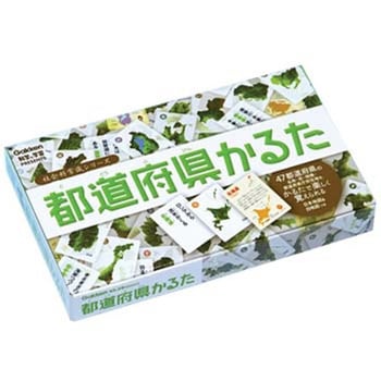 J750288 都道府県かるた 1セット 学研ステイフル 【通販モノタロウ】