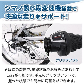 ノーパンク20インチ折畳み自転車 ACTIVE PLUS