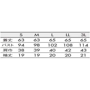 ニットシャツ レディス オフホワイト/アメリ ブルー LW201-13シリーズ 住商モンブラン