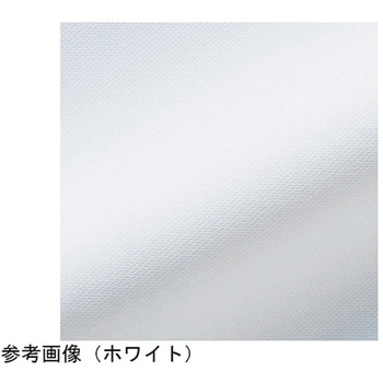 パンツ レディス ホワイト CHM152-10シリーズ アズワン