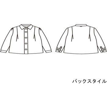 ブラウス レディス 長袖 ピンクベージュ BW8002-3シリーズ 住商モンブラン