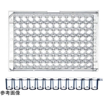 Immulon(TM) モジュールプレート Thermo Fisher Scientific