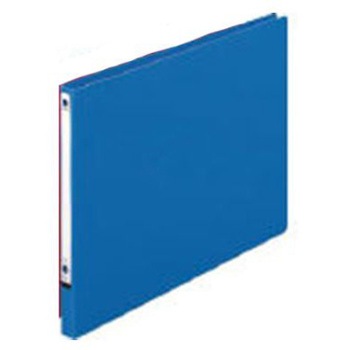 パームファイル A4 エスコ