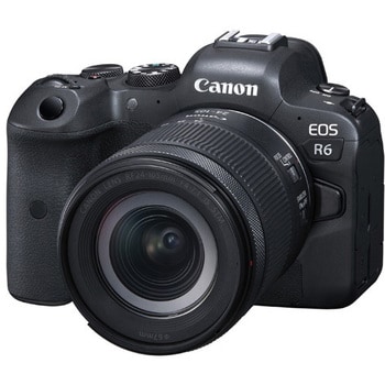 ☆シャッター交換済☆ Canon ミラーレス一眼カメラ EOS R6 ボディー