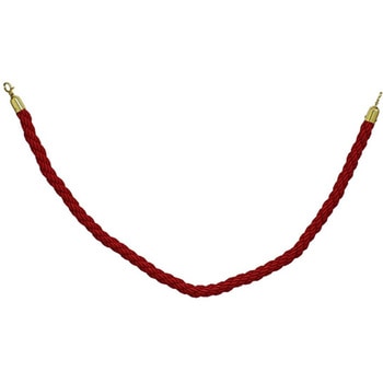 R1-12-RD [vp[e[VpcCXg[v aY 55276709