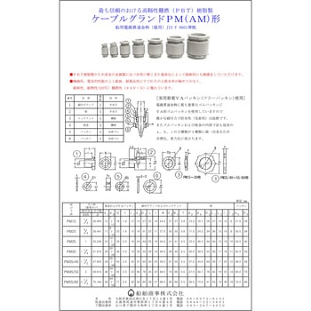 PM-20 Dpdђʋ D 55291383