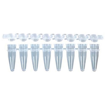 PCR 8連チューブ&8連フラットキャップ 0.2ml ナチュラル MB-P08-Bシリーズ GUNSTER