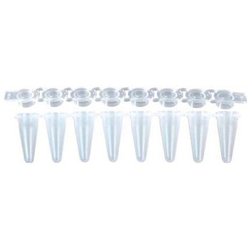 リアルタイムPCR 8連チューブ&8連フラットキャップ 0.1ml ナチュラル MB-Q100シリーズ - GUNSTER