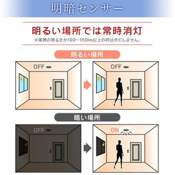 電球/LED(電球色) EA758XPシリーズ アイリスオーヤマ