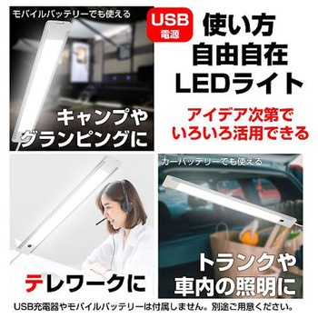 [USB]LED多目的ライト EA864CBシリーズ エスコ