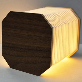 EXELUXアコーディオンオンLEDライト メテックス