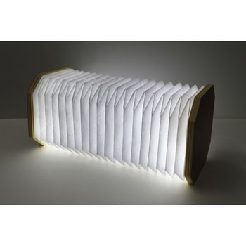 EXELUXアコーディオンオンLEDライト メテックス