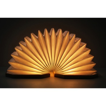 EXELUXアコーディオンオンLEDライト メテックス