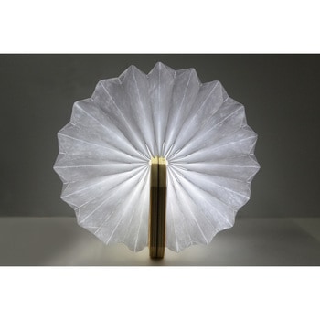 EXELUXアコーディオンオンLEDライト メテックス