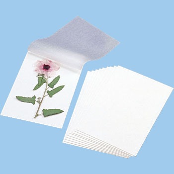 押し花ハガキ 1セット ケニス 通販モノタロウ