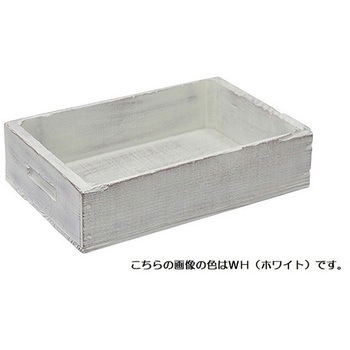  OR Be[WBOX PackStyle(pbNX^C) 55564995