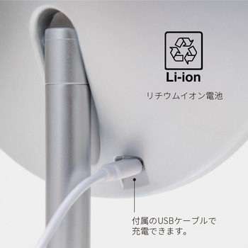 ナピュア LED スタンドミラー 堀内鏡工業