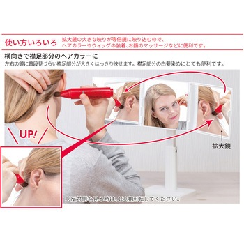 ナピュア スタイリングスタンドミラー 堀内鏡工業