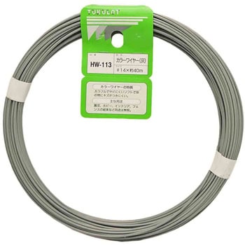 HW-113 �J���[���C���[ WAKI(�a�C�Y��) 55633217