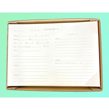 心電図記録紙 210mm巾×300mm折 全長60m 裏面カルテ有 1箱 2冊入 KOKUSAI(国際チャート)