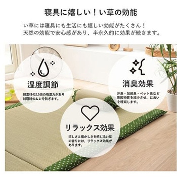 詩織 寝具 枕 ローズ 15×30cm イケヒコ・コーポレーション