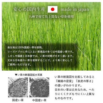 詩織 寝具 枕 ブラウン 30×50cm イケヒコ・コーポレーション