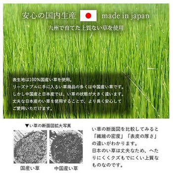 詩織 寝具 枕 ベージュ 30×50cm イケヒコ・コーポレーション