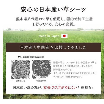詩織 寝具 敷きパッド グリーン 88×180cm イケヒコ・コーポレーション