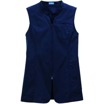 レディスジレ KAZEN