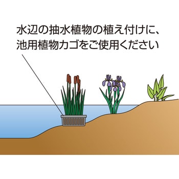 IB-14 池用植物カゴ 丸 1個 タカショー 【通販サイトMonotaRO】