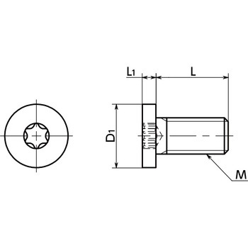 SPA-M5-20-SH 樹脂ねじ ヘクサロビュラ穴付き低頭ボルト 1パック