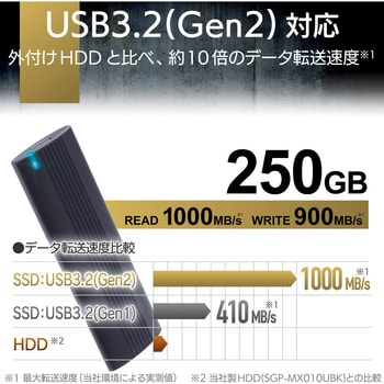 SSD 外付け ポータブル 高速データ転送 タイプC USB A-C/C-Cケーブル付