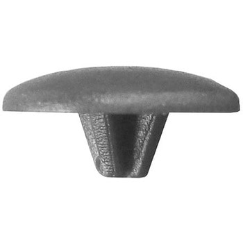 Dブラウン(+)ビスキャップS NO2 大阪魂