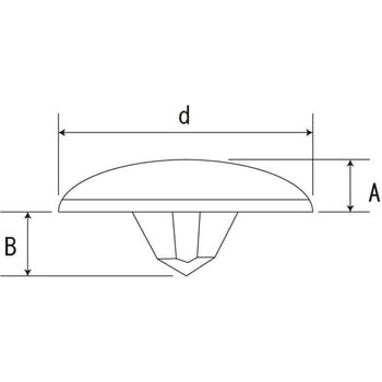 Dブラウン(+)ビスキャップS NO2 大阪魂