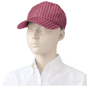 APK475-C/S81 Lbv KAZEN t[TCY 55741638