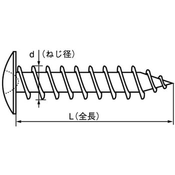 5.5X75 Vo[ h[XNPANpbN ㍰ 55800775