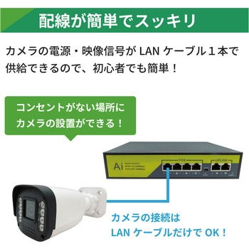 200万画素PoEタイプNVR防犯カメラセット カメラ8台、HDD1TB付き ブロードウォッチ