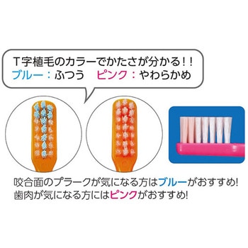 Ci Pro プラス歯ブラシ S やわらかめ 1箱 50本入 ザイコア・インターナショナル・インク