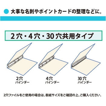 RE-145RW-10P 名刺ポケット ヨコ入れ(2・4・30穴共用) プラス(文具) 1