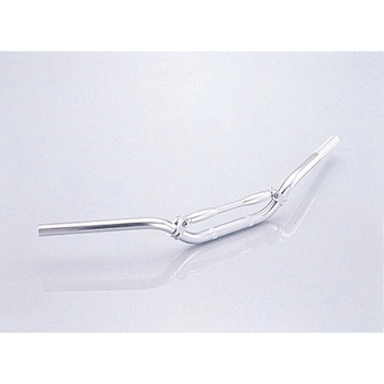 619-0800200 *P-TECH�o�[ LOW/SILVER KITACO 56595717