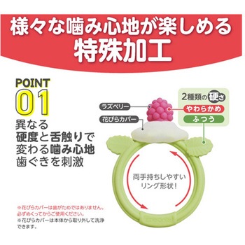 カミカミBaby 花咲くラズベリー 12個入 KJC