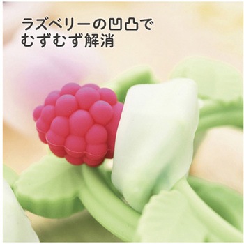 カミカミBaby 花咲くラズベリー 12個入 KJC