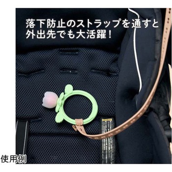 カミカミBaby 花咲くラズベリー 12個入 KJC