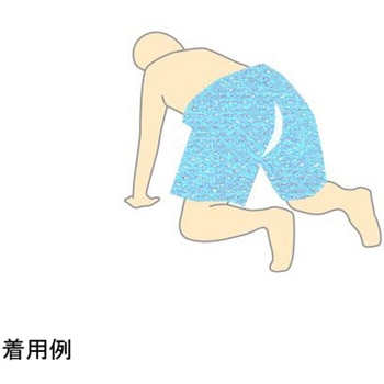 NS検査用トランクス フリー 1箱 100枚入 日昭産業