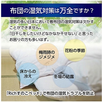 Richすのこベッド プラスチック ベッドフレーム、ジョイント、連結 ワイドラージ サンユー印刷