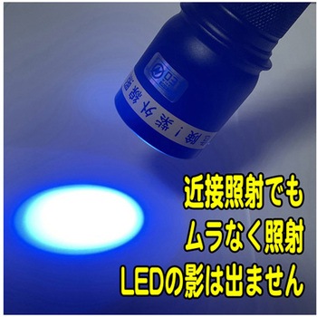 UVライト 日亜化学製 高出力 チップ型 紫外線LED 電池付き ガンメタ サウスウォーカー